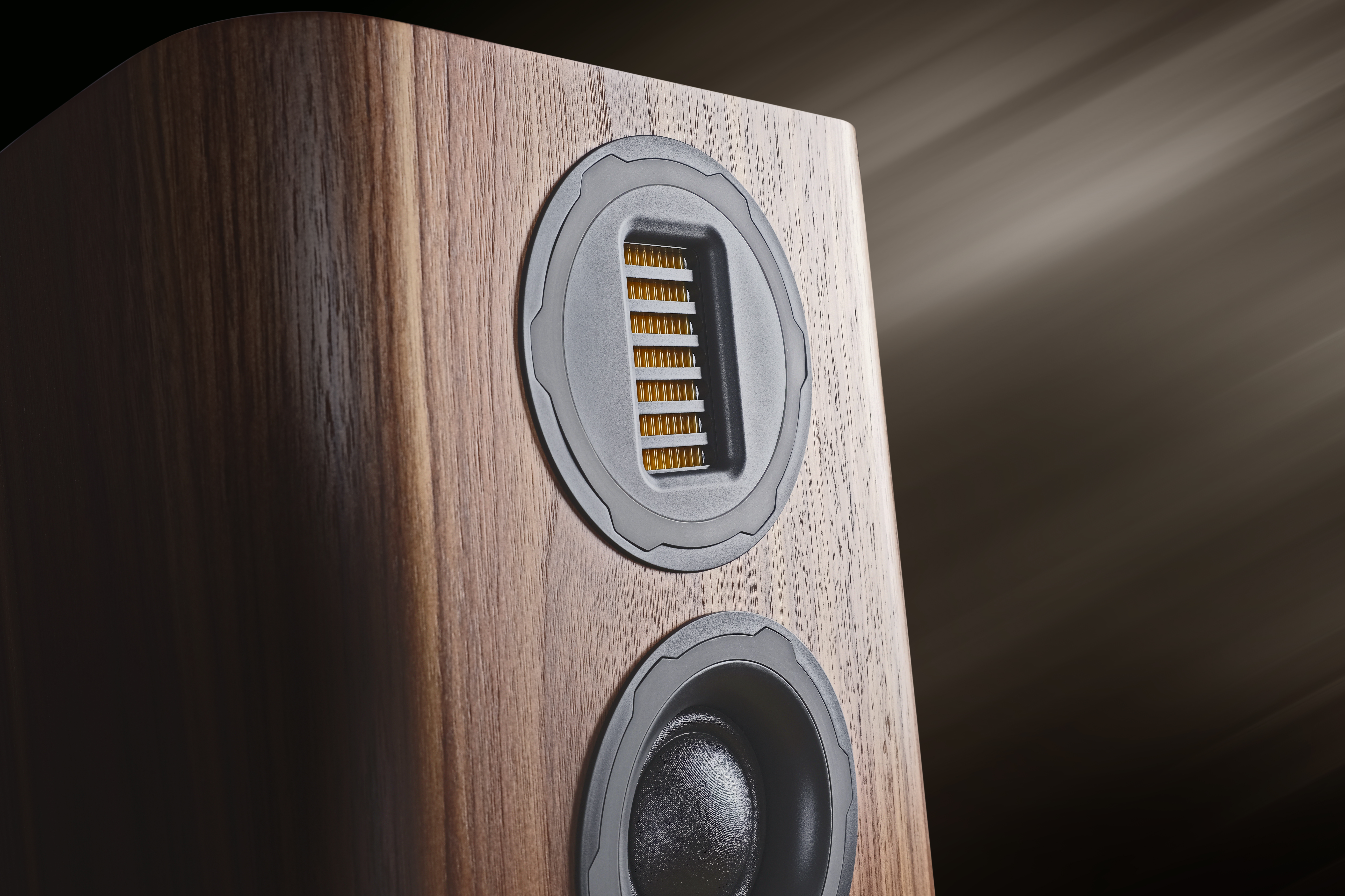 EVO 5.2_Walnut_Artistic_R2.jpg
